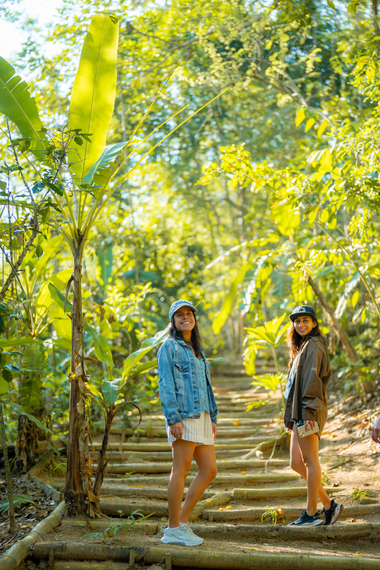 Bosque Nativo