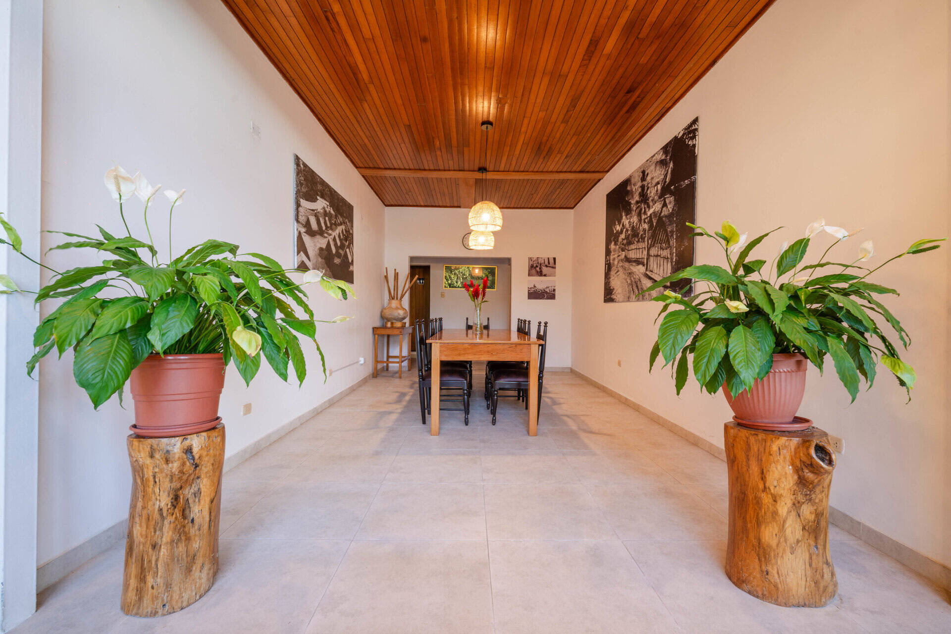 Pasillo con plantas tropicales