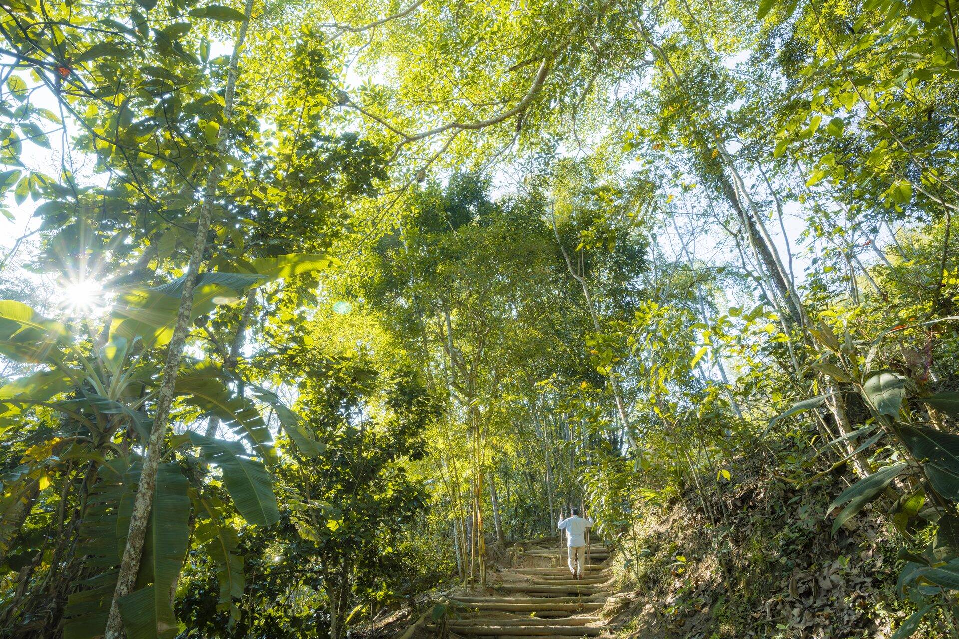 Sendero del Bosque